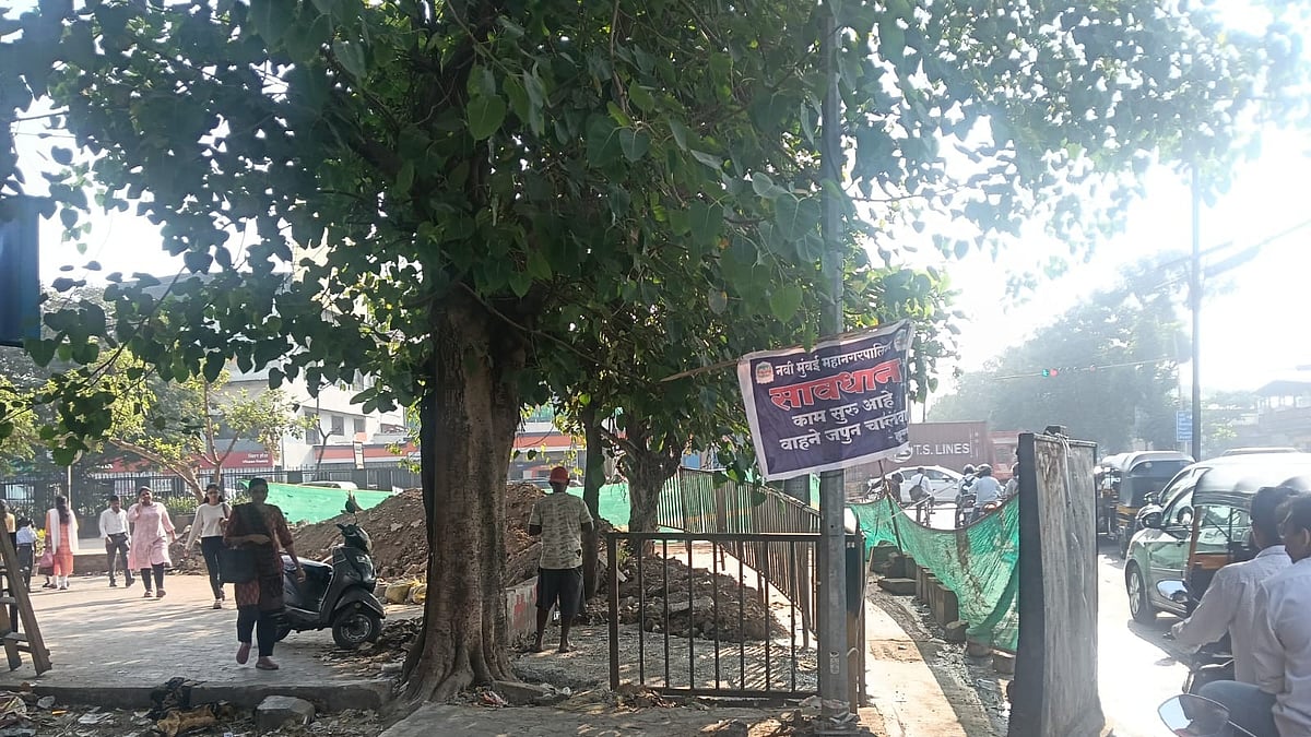 Vashi Residents Fear Loss Of Mature Trees During Road Widening; Citizen Groups Seek Written Assurance From NMMC |