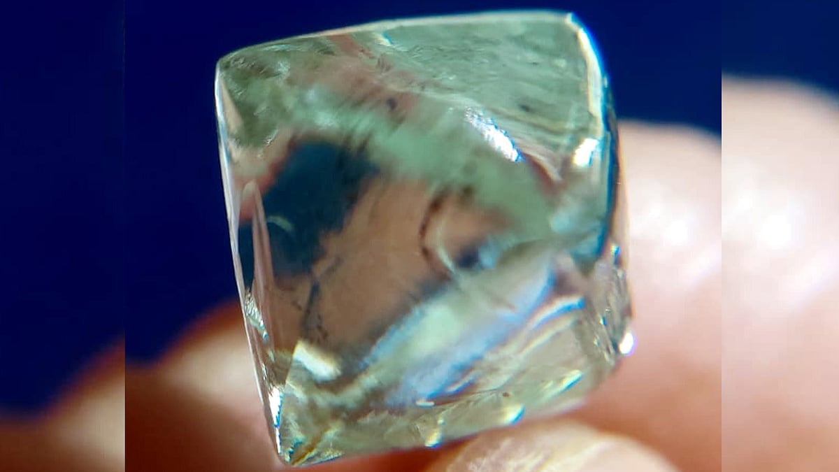 MP News: Labourer Strikes Diamond Worth ₹45 Lakh In Panna |