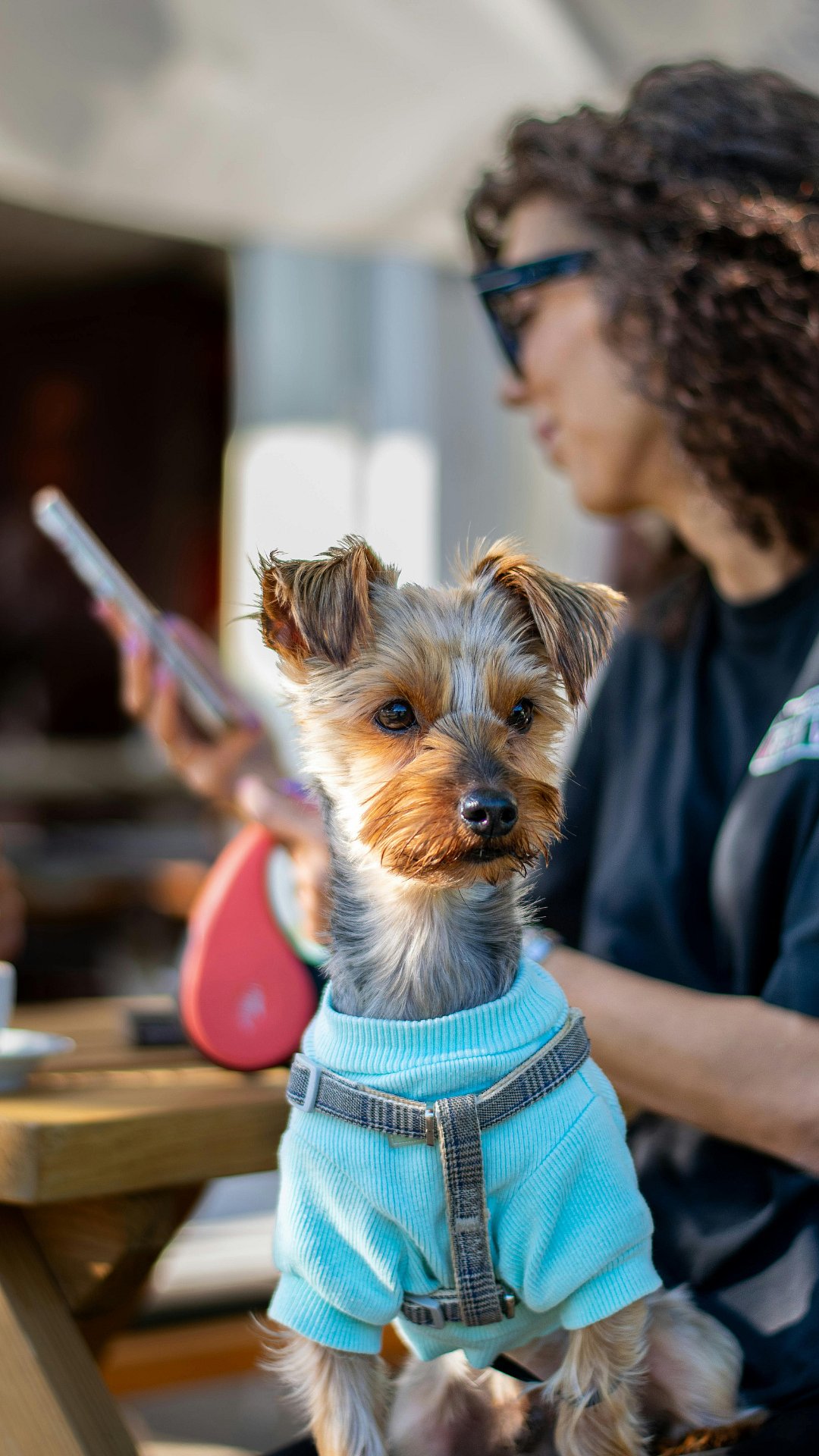 5 Pet-Friendly Cafes In Mumbai To Spend Quality Time With Your Cats & Dogs