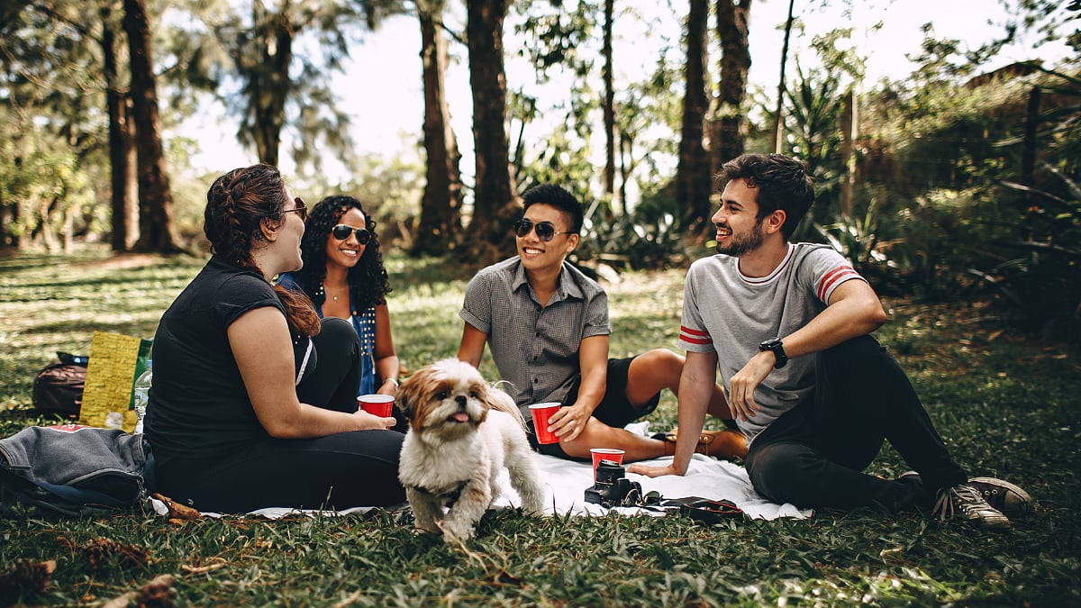 Long Weekends In 2026 In India: Check Out The Complete Holiday Calendar For Next Year 