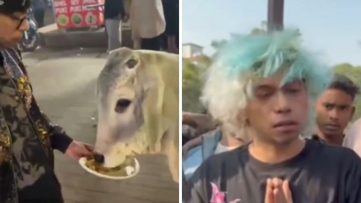 Shocking Video! Gurugram Youth Feeds Chicken Momos To Cow After Being 'Brainwashed Online';...