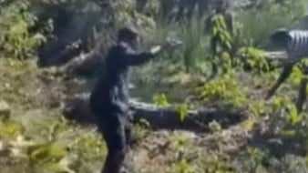 Viral Video Shows Young Reelmakers Trying To Grab Crocodile's Tail & Taking Selfies With It; Sparks Safety Concerns | Instagram @aajtak