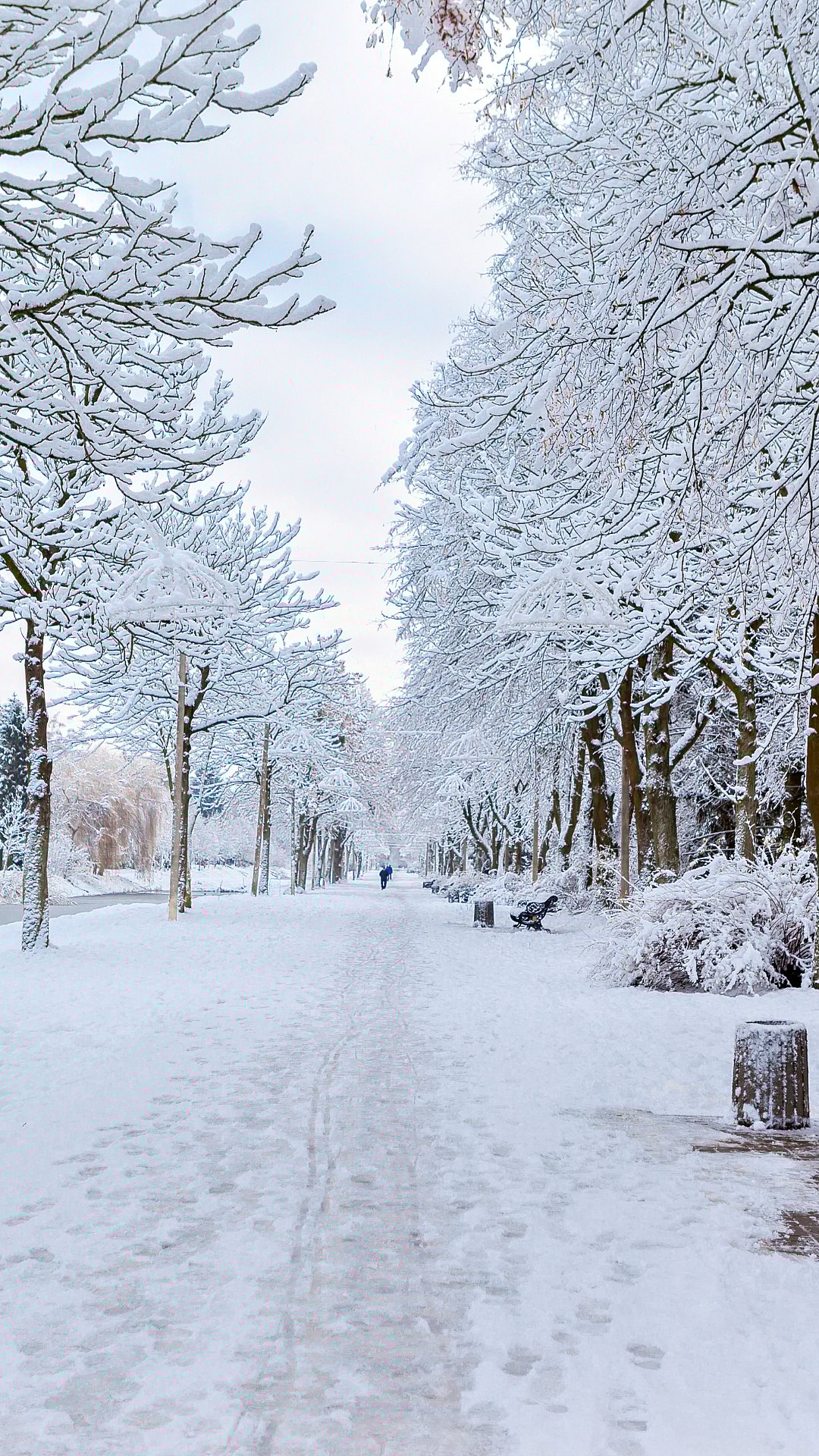 Shimla To Manali: 5 Places In India To Experience White Christmas This December