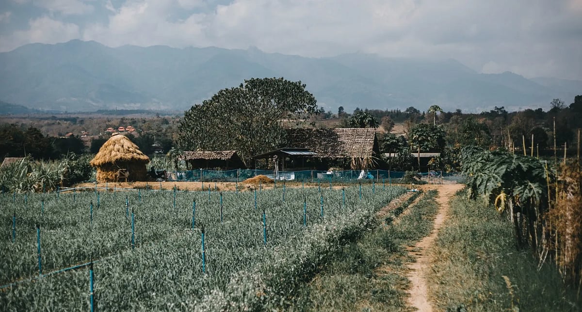 MP News: Phanda Village’s Name To Be Changed To Harihar Nagar, Proposal To Centre Soon |