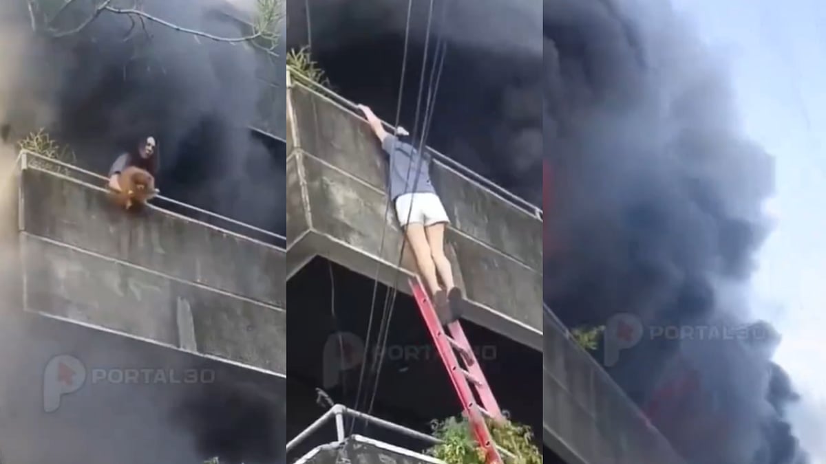 Dog Mom Bravely Rescues Pet From Fuming Building Fire In Cebu | X/@TonyLaneNV