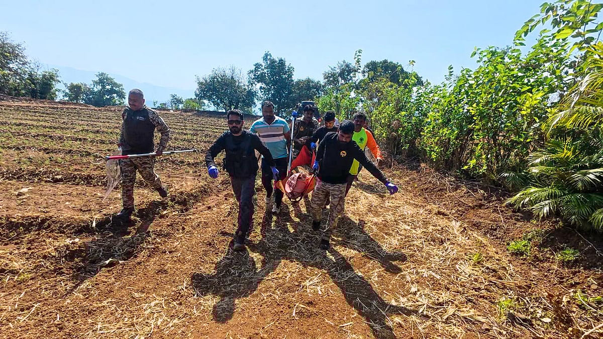 Pune: Leopard Entangled In Fencing Wire Rescued From Mulshi, Shifted To RESQ Wildlife Transit...