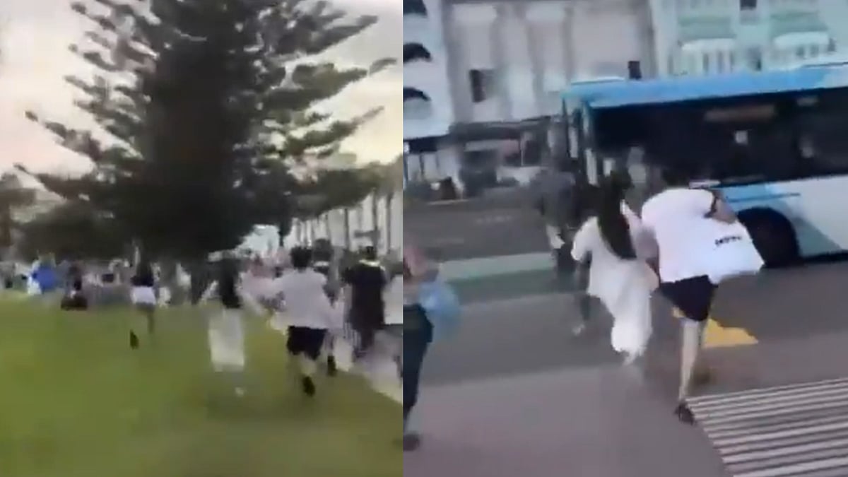 Australia Shooting: Video Shows Crowd Screaming, Running For Their Lives As Two Shooters Attack...