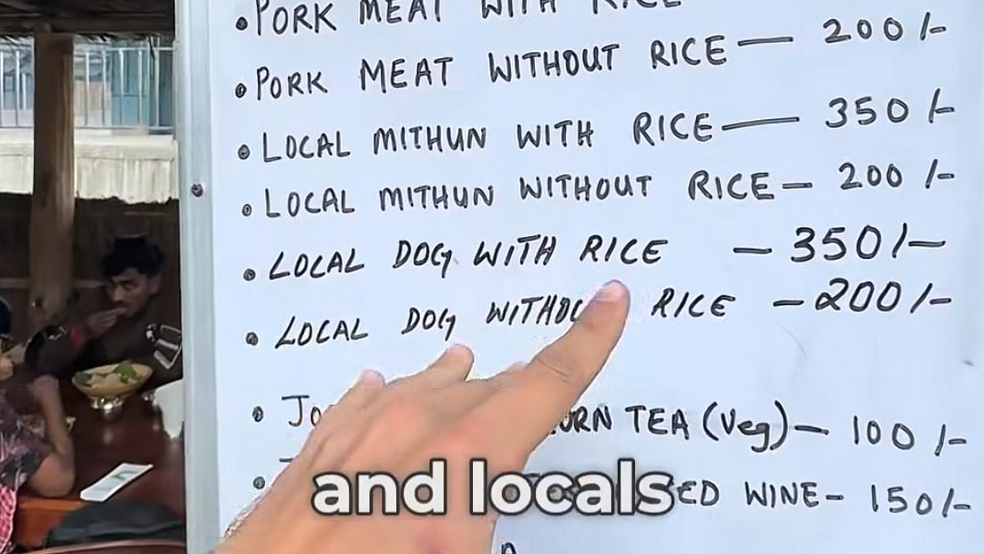 Foreigner Shows Dog Meat Served With Rice At THIS Indian Festival: Here’s How Internet Reacted 