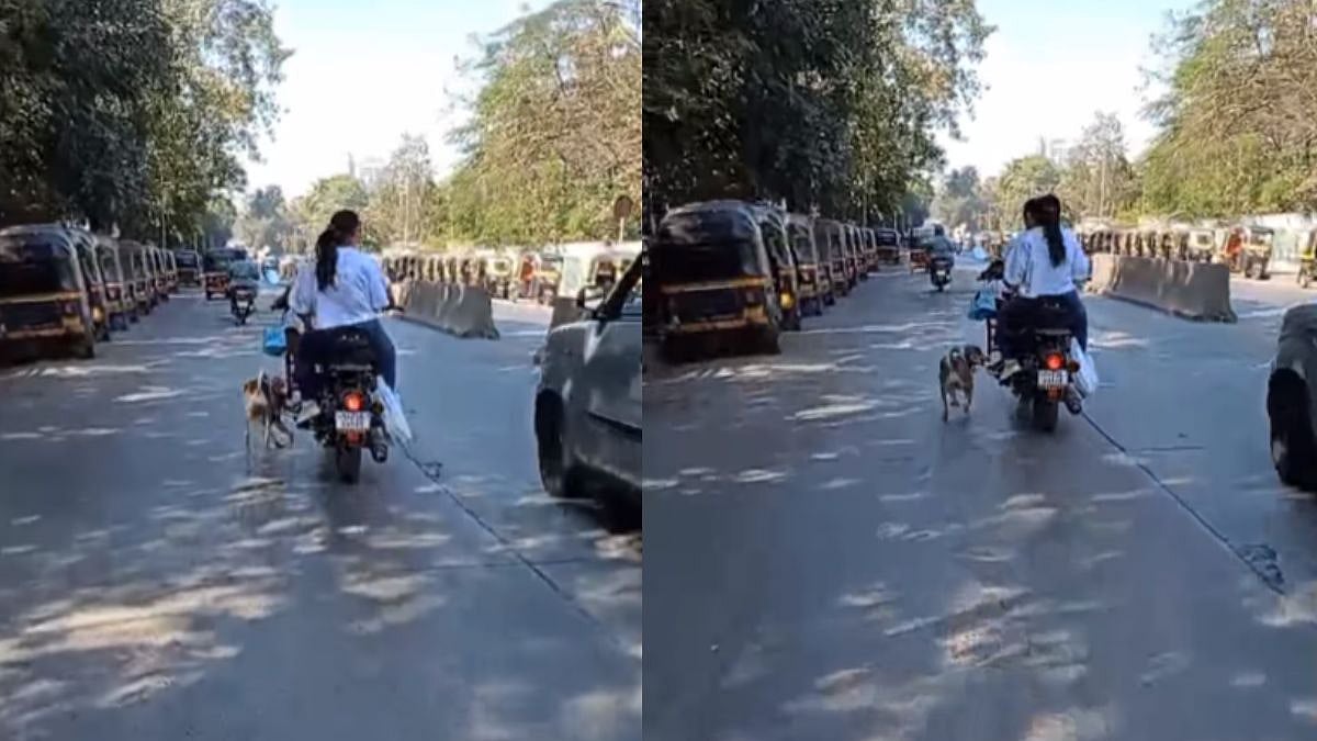 Mumbai: Viral Video Of Pet Dog Forced To Chase Speeding Bike In Kandivali Sparks Outrage | Watch