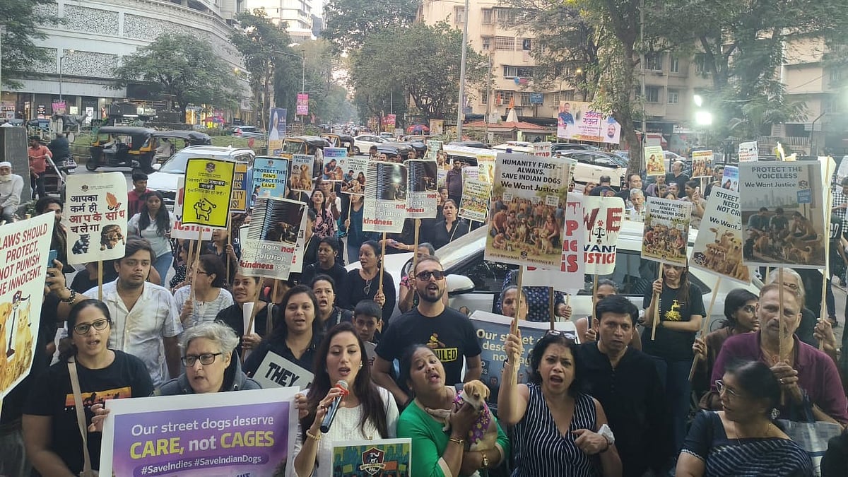 Mumbai: Animal Lovers In Ghatkopar Protest Forced Dog Relocation, Plan To Form Political Party To...