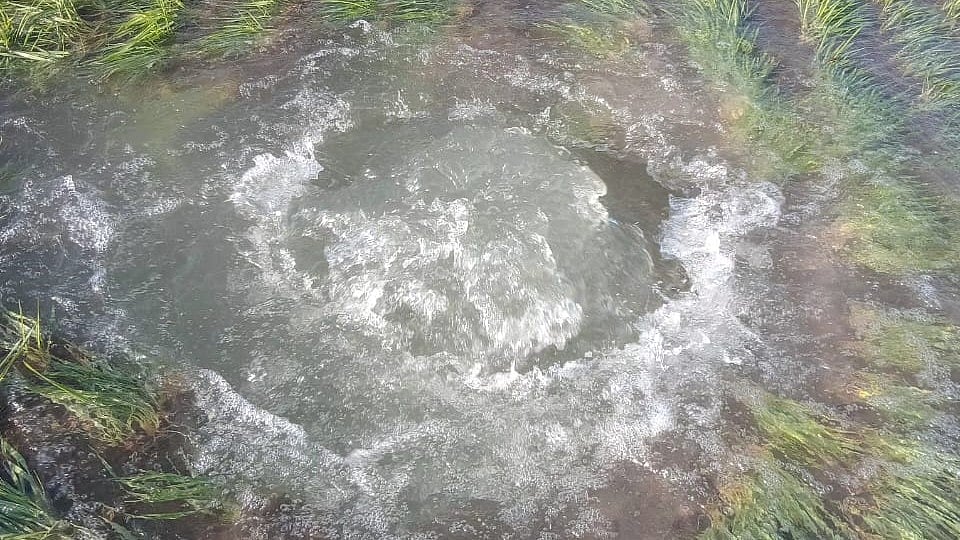 Indore News: Burst Narmada Pipeline Floods Fields, Officials Missing