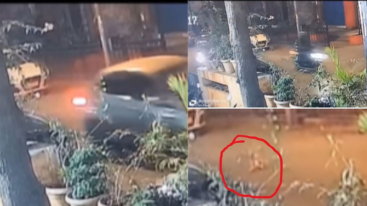Mumbai Shocker: Cat Run Over By 2 Vehicles In Goregaon; CCTV Footage Triggers Outrage On Social Media | WATCH 