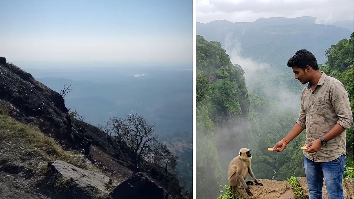 Indore News: Out On Getaway To Jam Gate, Youth Slips Into Deep Gorge While Feeding Biscuits To...