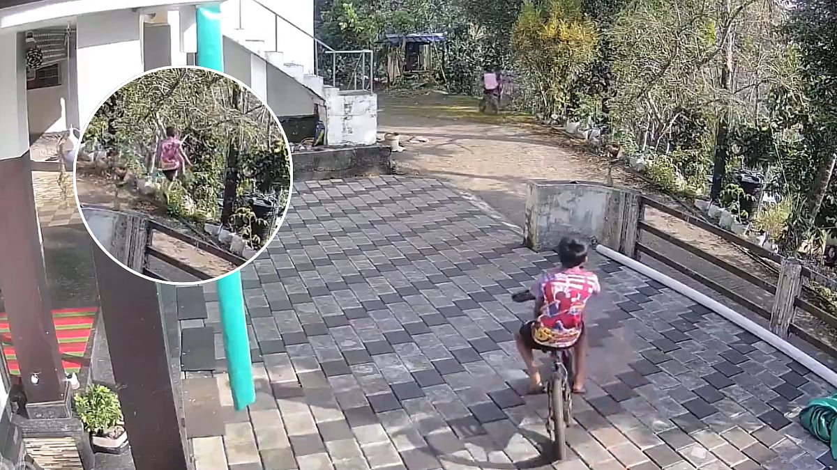 VIDEO: Elder Brother Risks His Life To Save Younger Sibling In Life-Threatening Cycling Mishap, Clip Goes Viral | X @sathyashrii