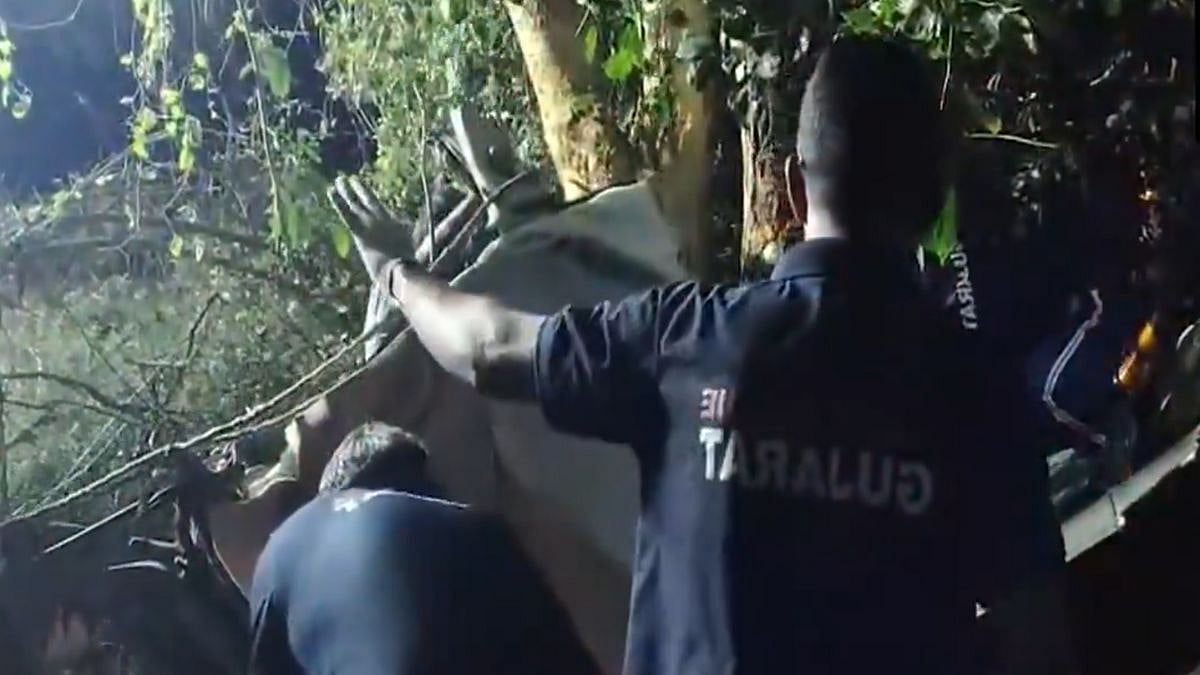 Gujarat: 3 People Killed, 1 injured As Car Crashes Into Tree In Amreli - Video Surfaces | ANI