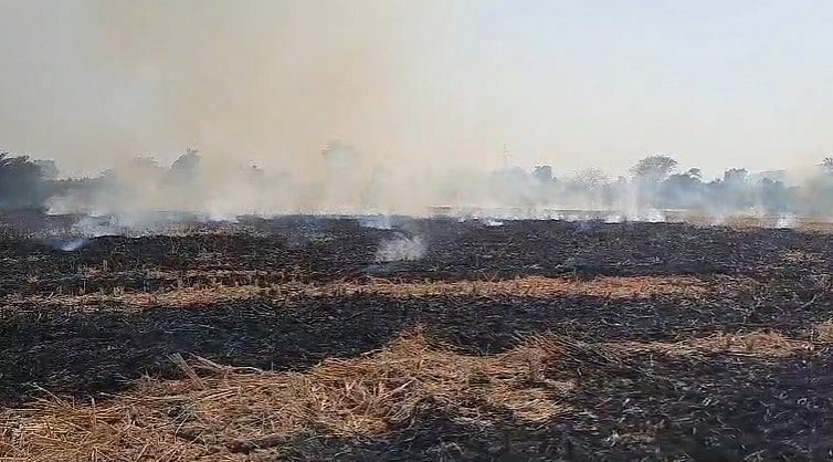 MP News: 17 Farmers Fined Over ₹40K After Satellite Check Reveals Stubble Burning In Jabalpur...
