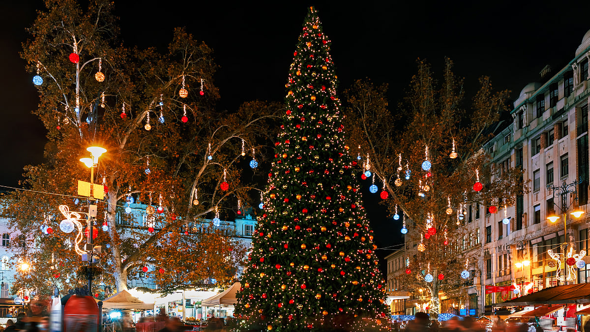 X'mas 2025: Free Events In Mumbai To Experience The Magic Of Christmas;  Pinterest-Worthy Decor & Festive Trees Await You 