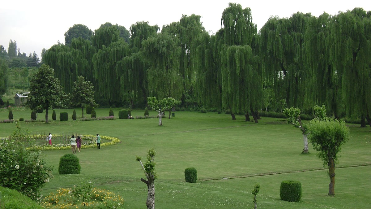 Nilgiri Garden Ayyappa Seva Samiti To Celebrate 33rd Mandala Puja Mahotsav In CBD Belapur With Two-Day Religious Festivities 