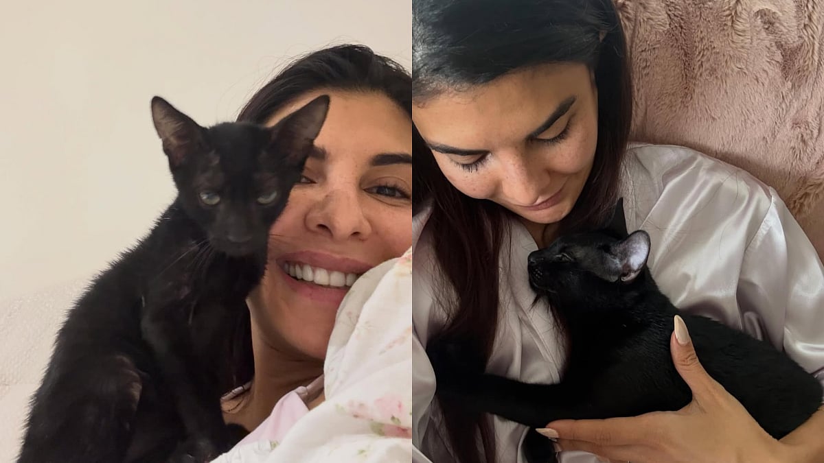 'They Were Hungry, Tired...': Jacqueline Fernandez Introduces Her New Cats, Reveals They Were Strays