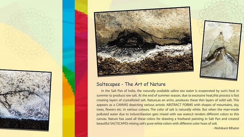 Salt Scapes showcases nature's abstract artistry