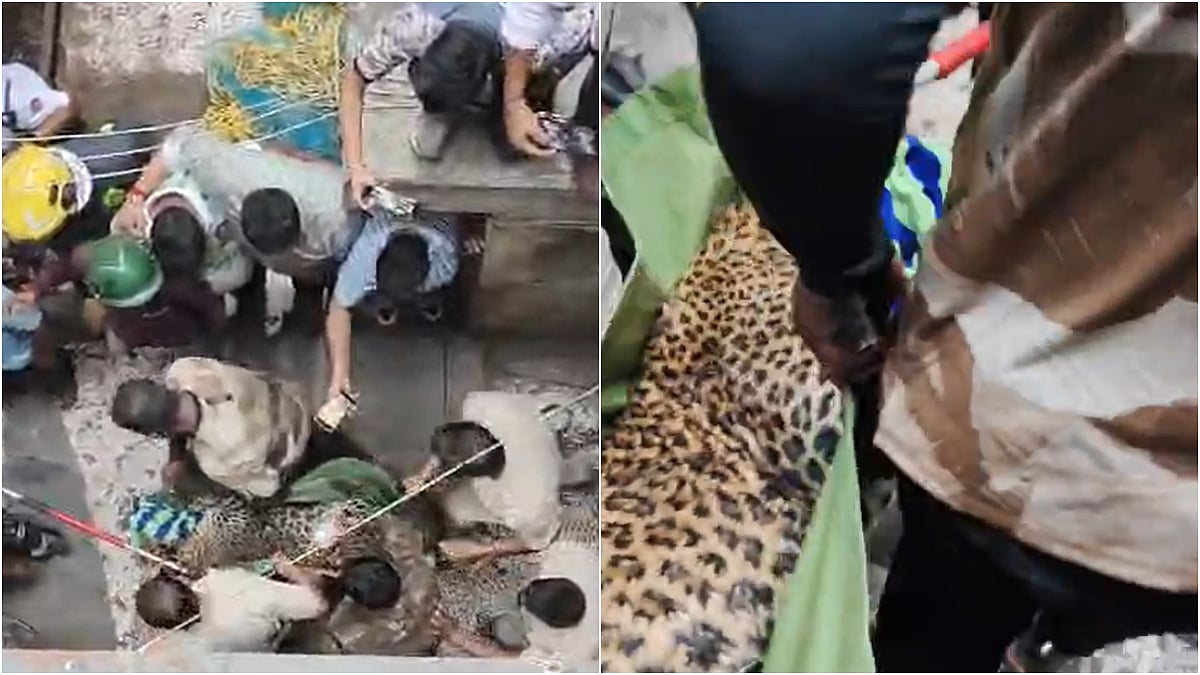 Palghar Horror: Leopard Attack Sparks Panic In Bhayandar East; Animal Captured After 6-Hour Operation, Injured Residents Stable | VIDEO 