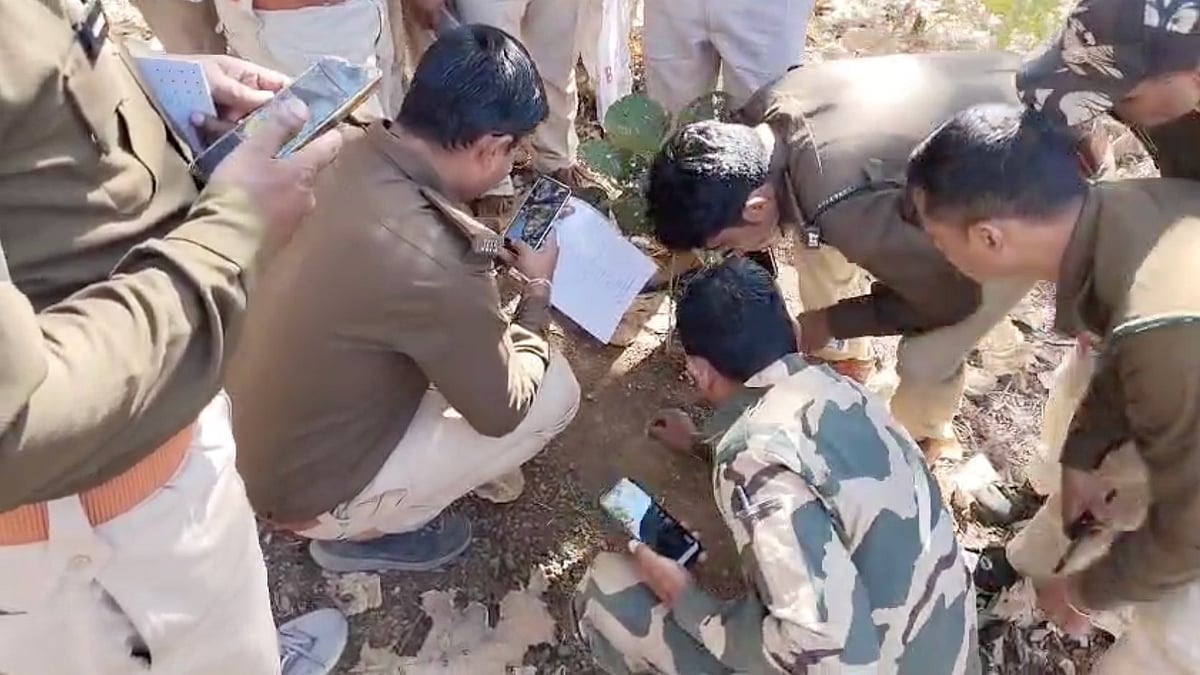 AITE 2026 Survey: Indore Forest Emerges As Permanent Habitat For Tigers | FP Photo