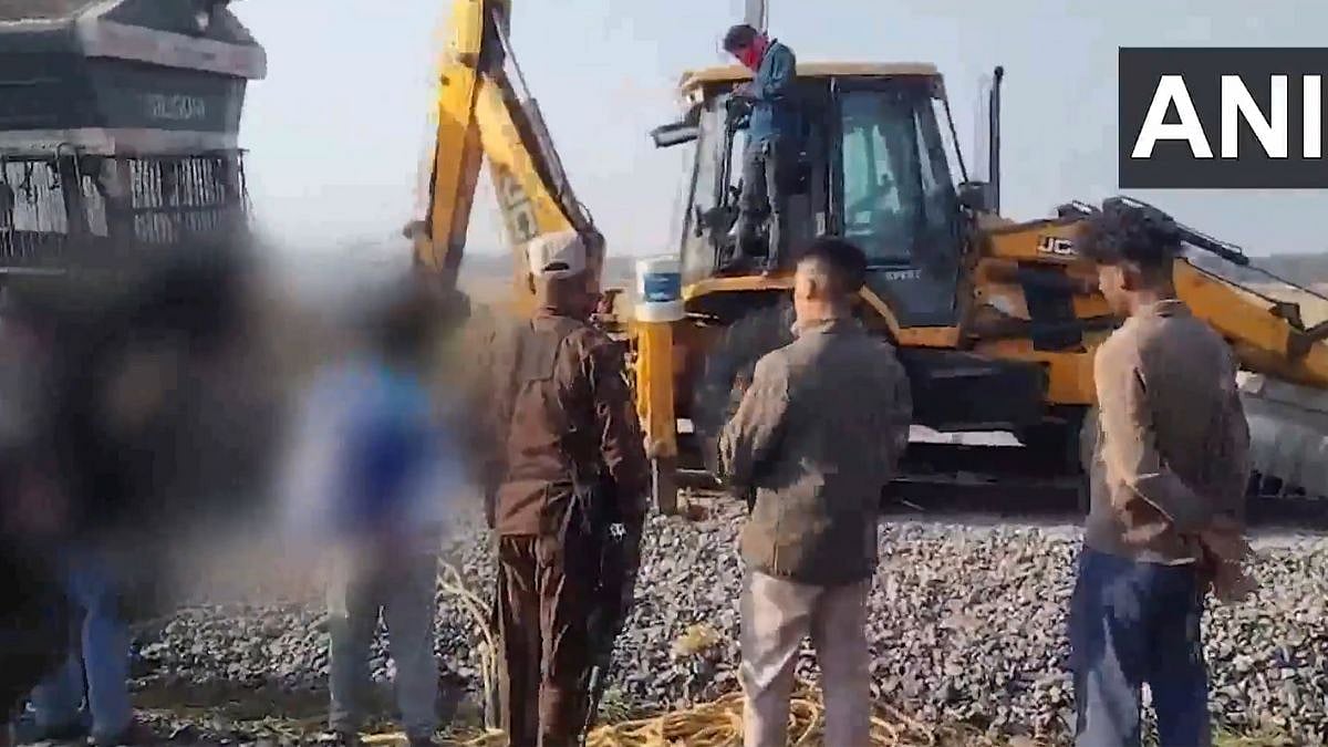 Assam Tragedy: 7 Wild Elephants Killed After Being Hit By Sairang Rajdhani Express, Causing Derailment; Safety Lapses Under Scrutiny | VIDEO 