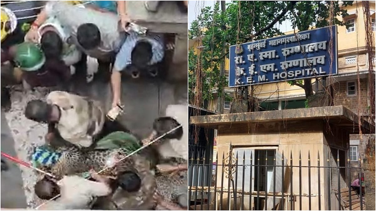Bhayandar Leopard Attack Victims Undergo 6-Hour Plastic Surgery At KEM Hospital, Doctors Say Stable | File Photo