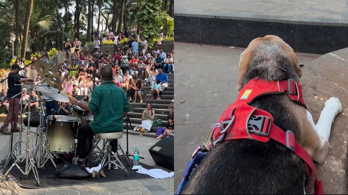 Mumbai live show with pet-friendly atmosphere  | Instagram 
