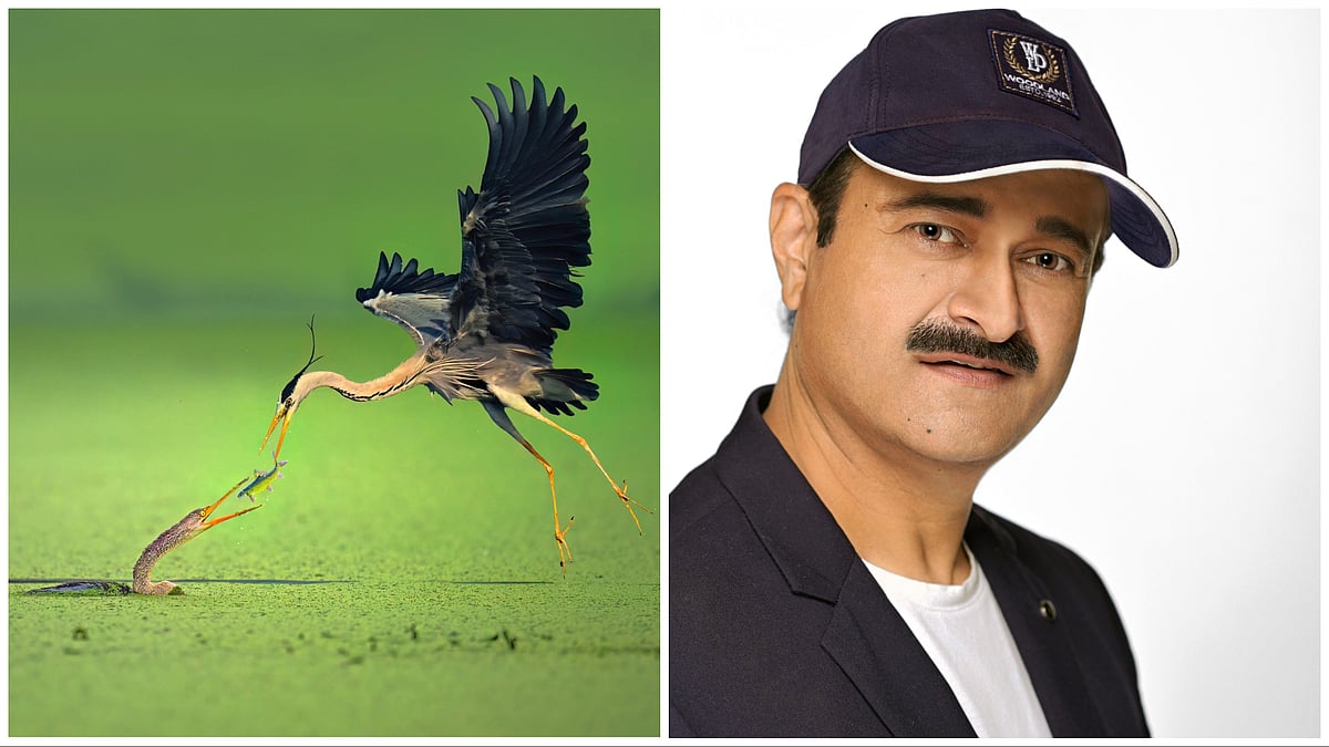 Chhatrapati Sambhajinagar: Indian Wildlife Photographer Baiju Patil Ranked World No. 1 At Refocus Awards 2025 | Sourced