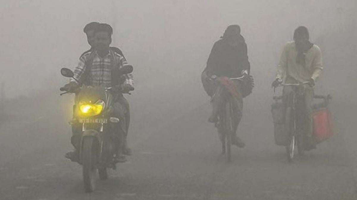 Madhya Pradesh December 22, 2025 Weather Updates: Visibility Drops To 50 Metres As Dense Fog Grips State; Chill To Intensify Further | FP Photo