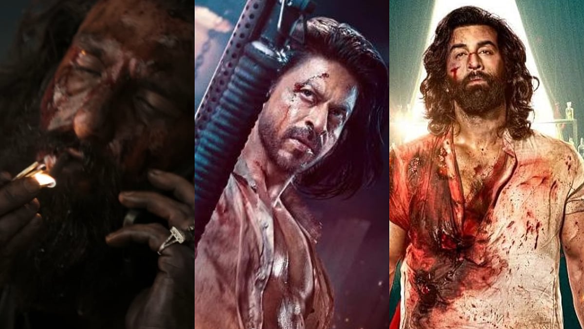 Dhurandhar Box Office Collection Day 17: Ranveer Singh Starrer Beats Shah Rukh Khan's Pathaan & Ranbir Kapoor's Animal 