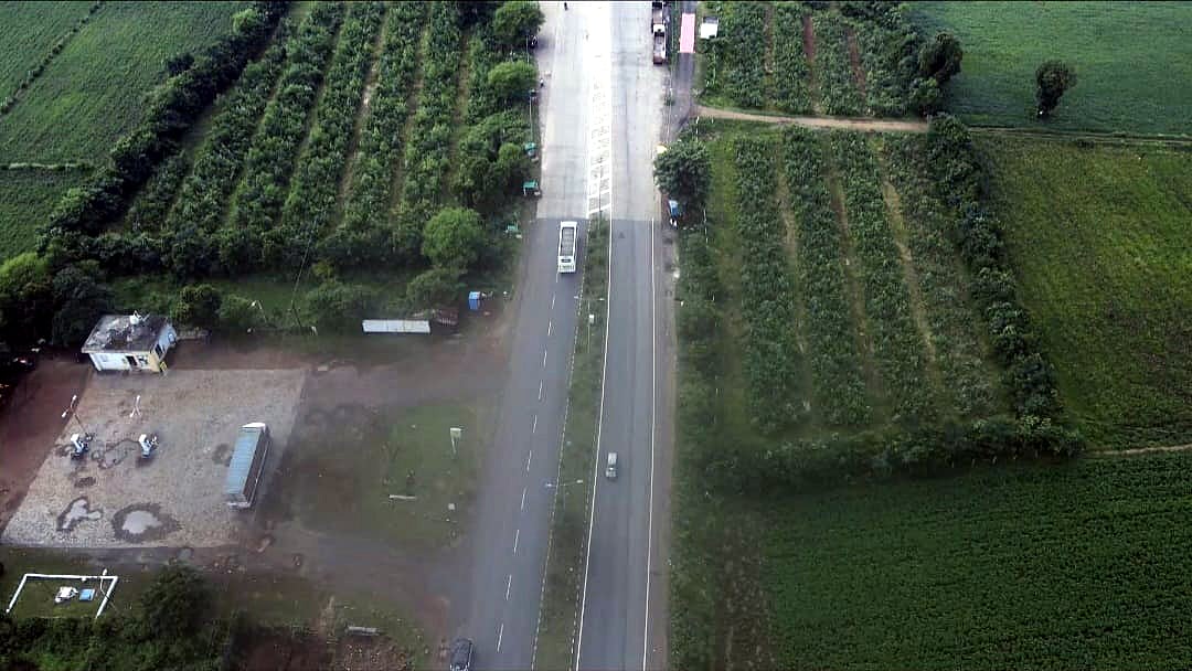 Bhopal News: National Highways Authority of India To Plant 81,000 Saplings For MP’s First 10-Lane Road At Ayodhya Bypass | Representative Image