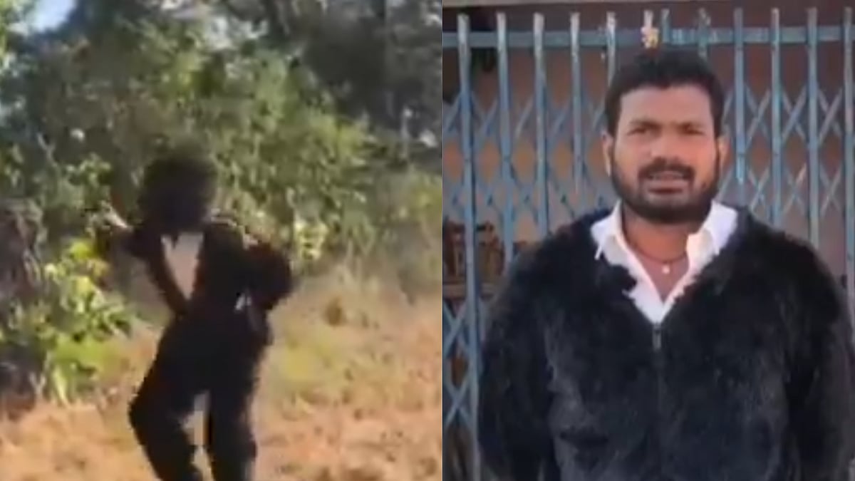 Telangana’s New Way Yo Tackle Monkey Menace: Newly Elected BRS Sarpanch Wears Bear Costume To Scare Away Animals Lingapur | Video