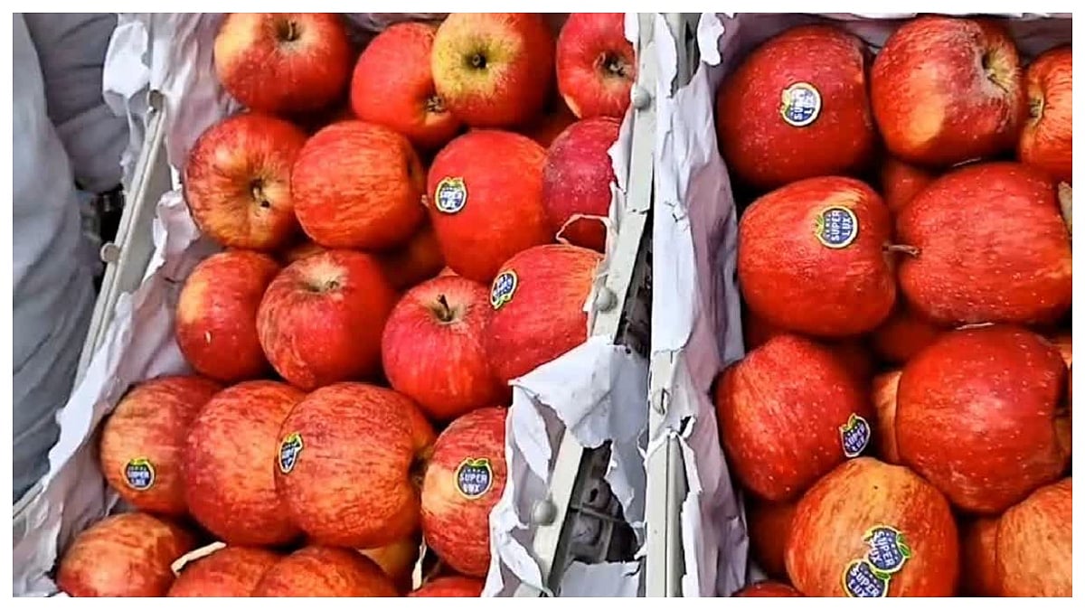 New Zealand First Country To Secure Duty Concessions For Apples In Indian FTA 