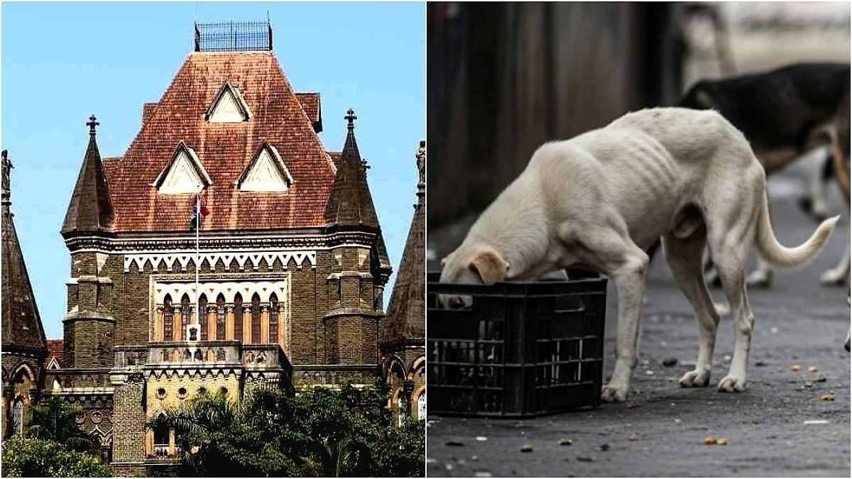 Bombay HC: Stopping Stray Dog Feeding In Non-Designated Areas Not ‘Wrongful Restraint’ Under BNS 