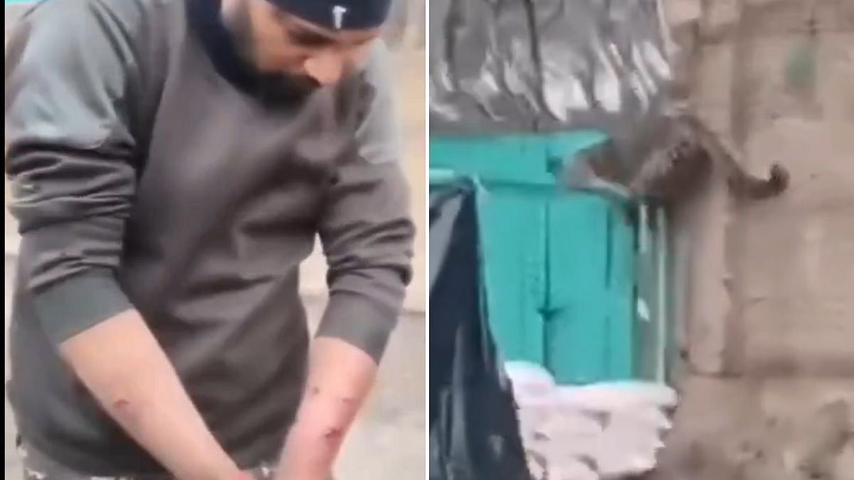 J&K: Leopard Enters CRPF Camp In Anantnag, Injures Trooper; Video Surfaces