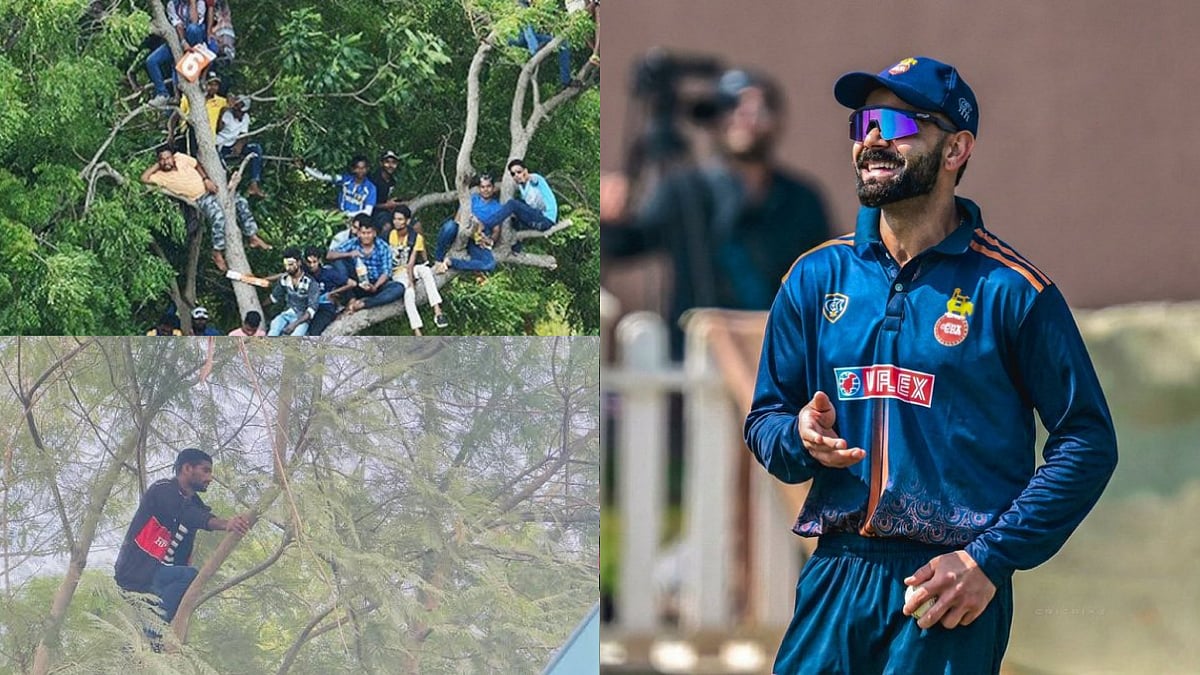 WATCH: Fans Climb Trees To Watch Virat Kohli's Match-Winning Century In Bengaluru As BCCI Didn't Allow Spectators 