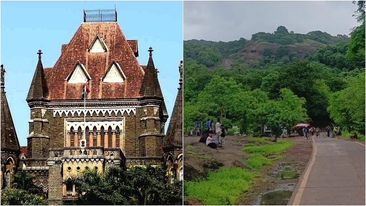 Bombay HC Flags Hardship In Relocating SGNP Encroachers To Palghar, Seeks Practical Rehabilitation Solution 