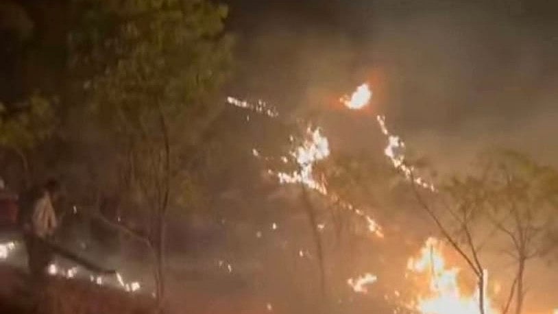 Beed: Massive Fire Guts Sayaji Shinde’s Sahyadri Devarai Project; Thousands Of Trees Reduced To...