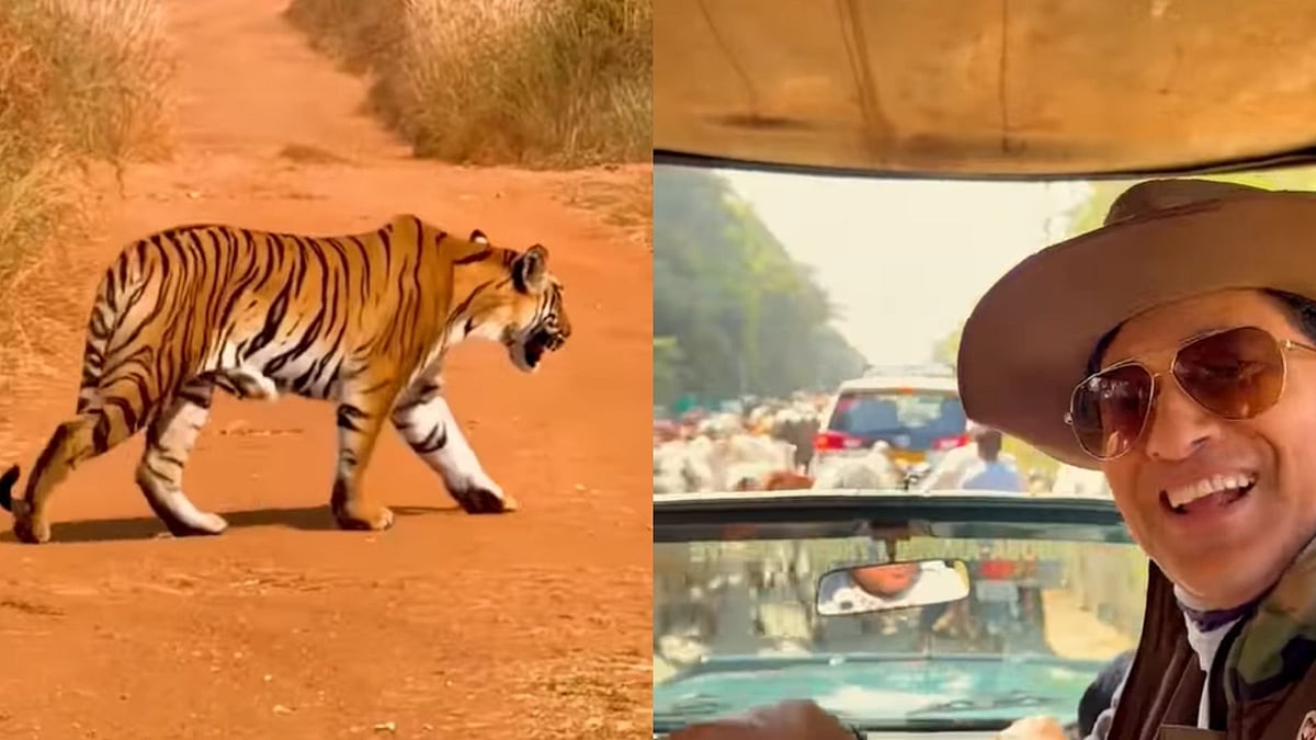 Sachin Tendulkar Visited Tadoba Tiger Reserve: Find Out What Makes This Wildlife Safari So Special? 