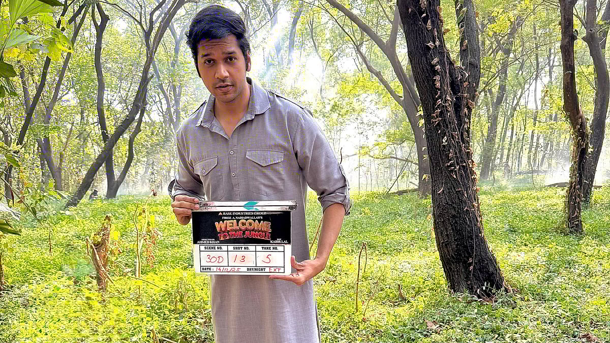 Indore News: Strict Action To Curb Unauthorised Stray Dog Feeding