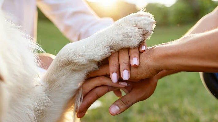 UP Tragedy: Days After 2 Distressed Sisters Die By Suicide Over Ailing Pet Dog, Canine Passes Away...