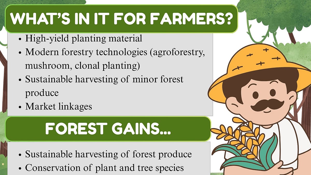 Indore News: Malwa Farmers To Benefit From Market-Linked Forestry Tech Model