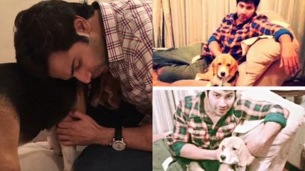 Varun Dhawan's Pet Dog Angel Passes Away; Actor Pens An Emotional Note, 'Thank You For Being A Wonderful Pup' - Watch Video 