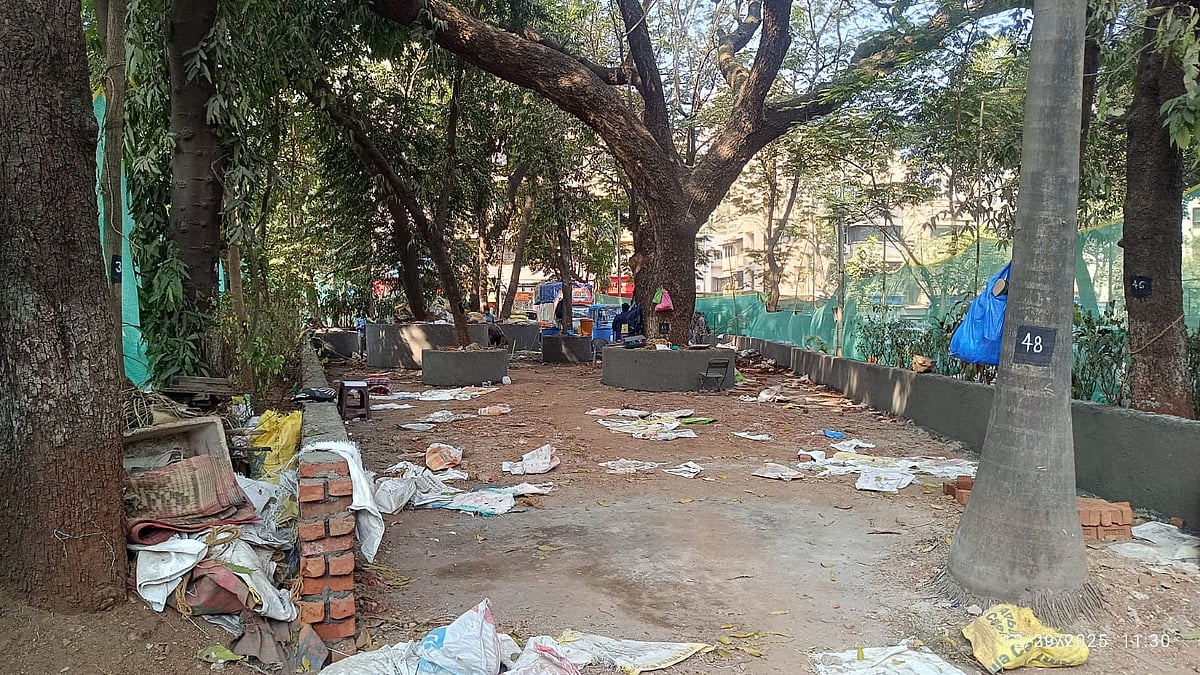 Mumbai News: Bandra Residents Alarmed As Trees Removed From CRZ-Protected Garden