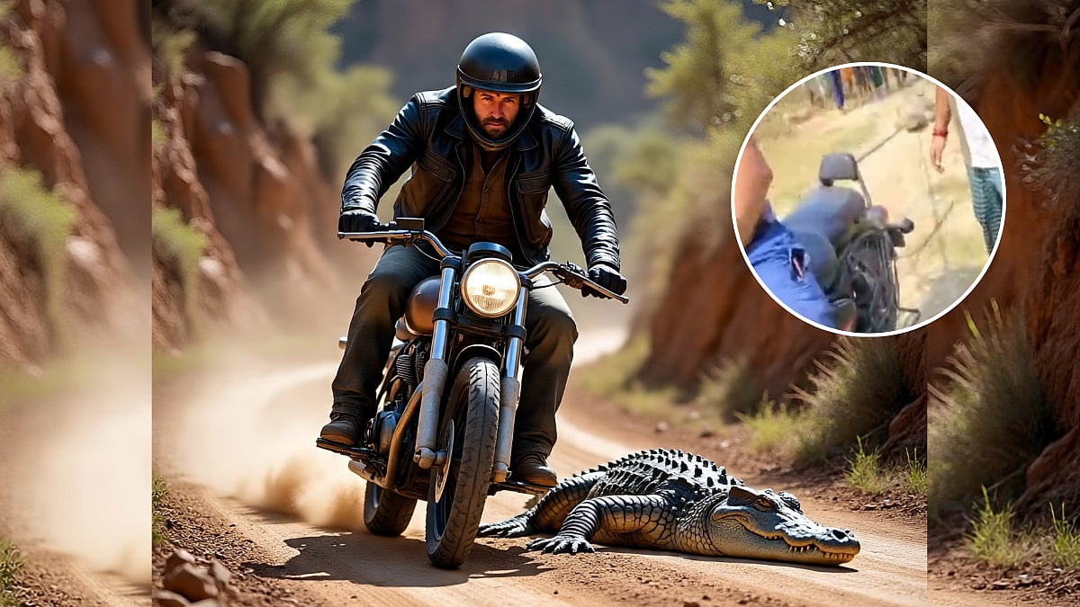Bihar Shocker! Man Drags 'Rare Crocodile' By His Bike; PETA India Flags Disturbing Footage, Registers Complaint 