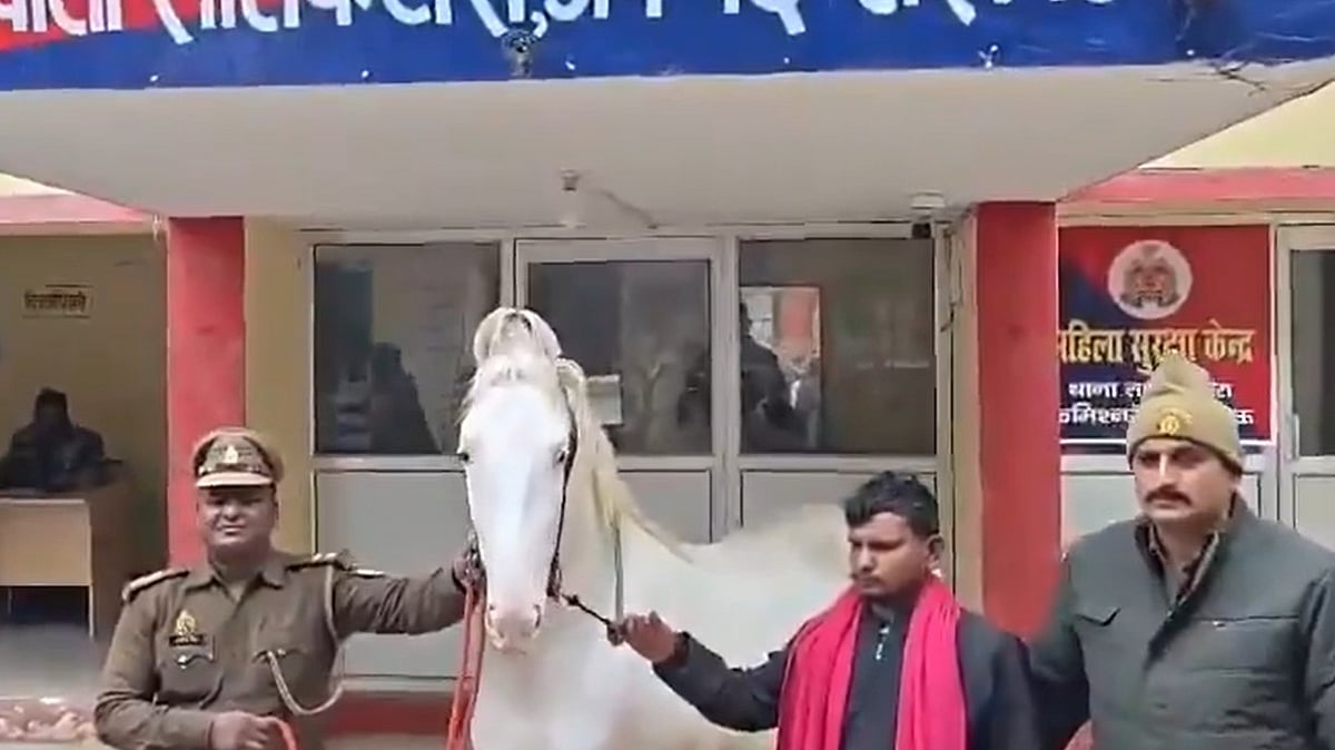 Iranian Zuljanah Horse Worth ₹4.5 Lakh Stolen From Lucknow, Sold For ₹1.5 Lakh; Police Recover...