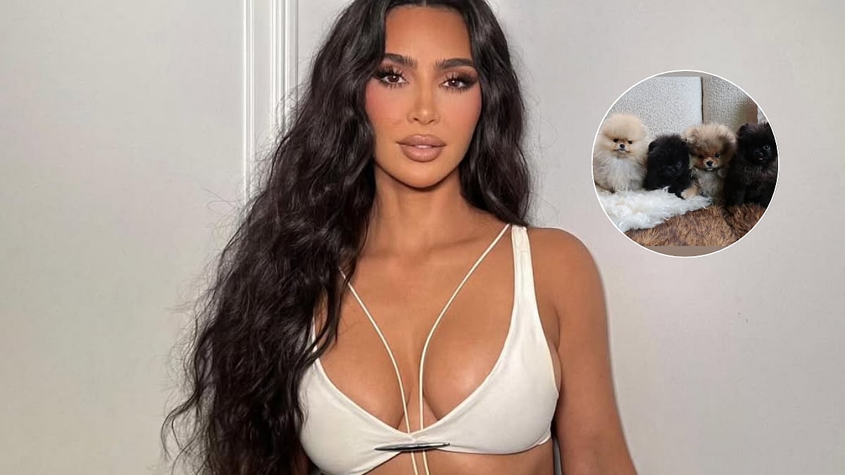PETA Slams Kim Kardashian For Gifting Dogs To Her 4 Children As Christmas Gifts: 'Puppies Are Not Plushies, It's A Damn Shame...' 