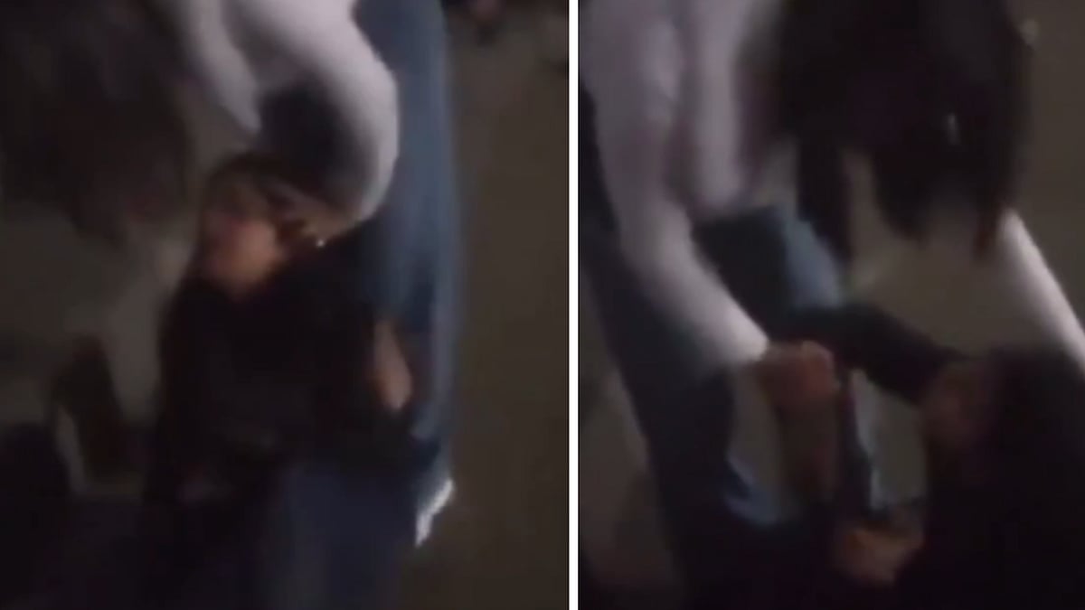 'Tune Ussey Babu Kyun Bola?': Viral Video Shows Woman Grabs Another By The Hair, Throws Punches  &...